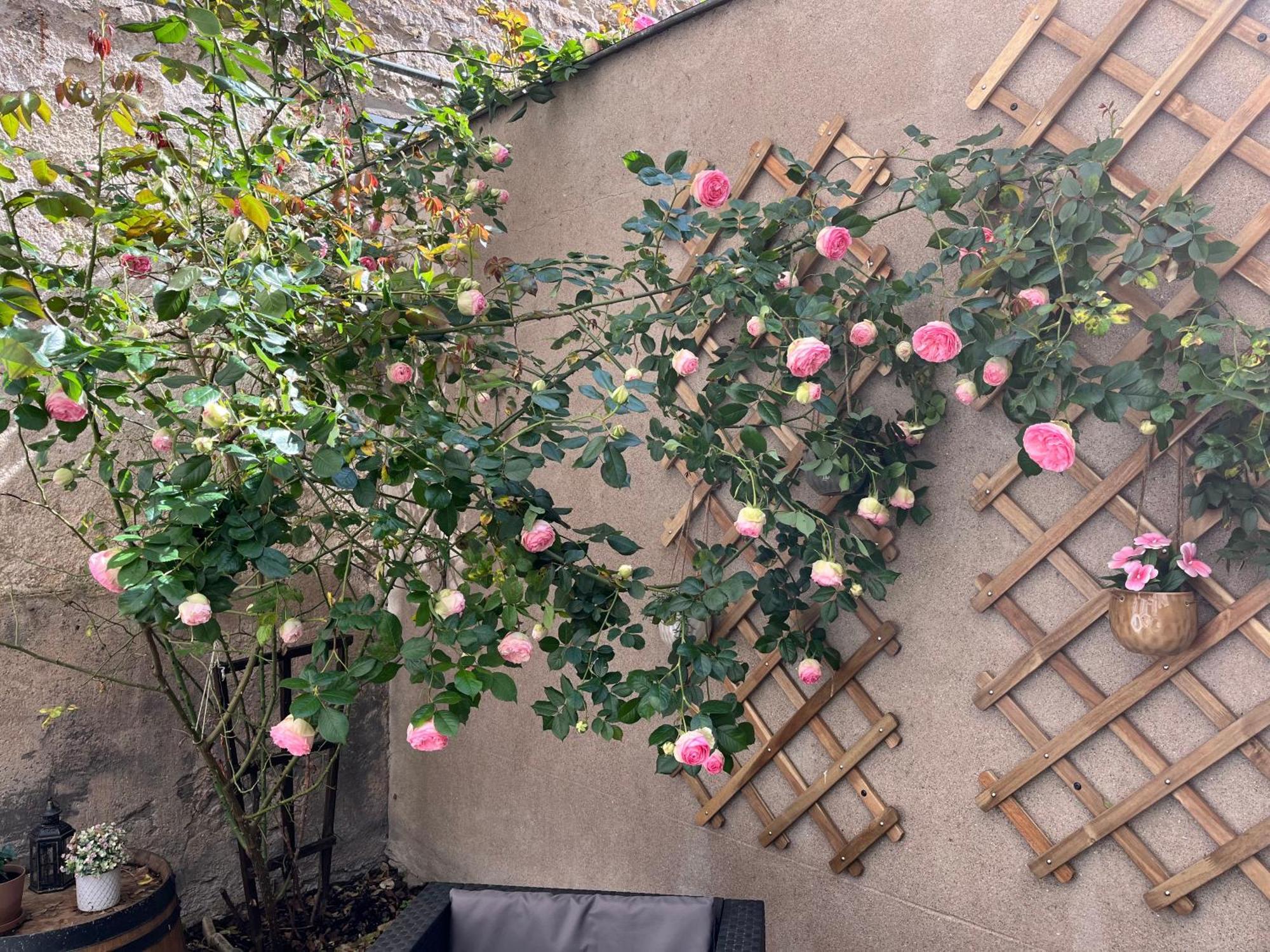 Ferienwohnung Le Divio - Homillesime Dijon Exterior foto